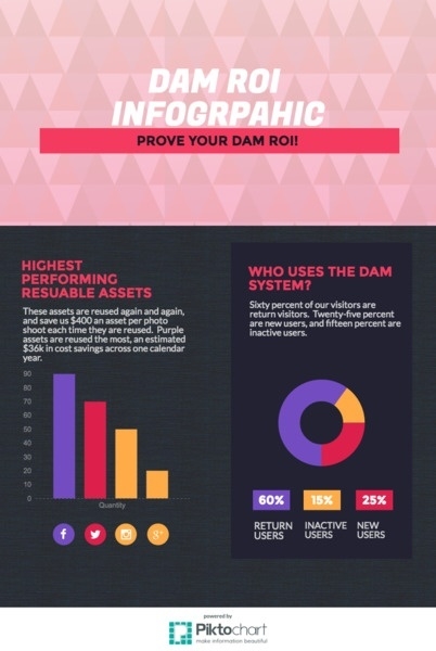 DAM-Infographic-ROI
