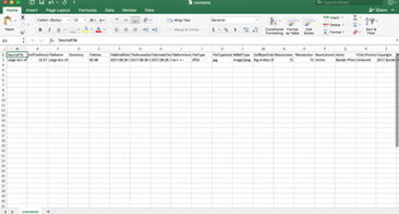 6 embedded metadata exercises to supercharge your DAM workflow