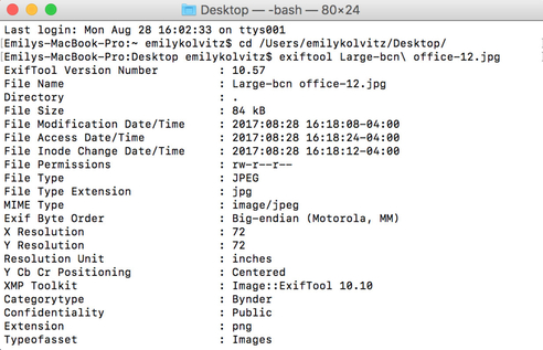 Embedded metadata bynder 1