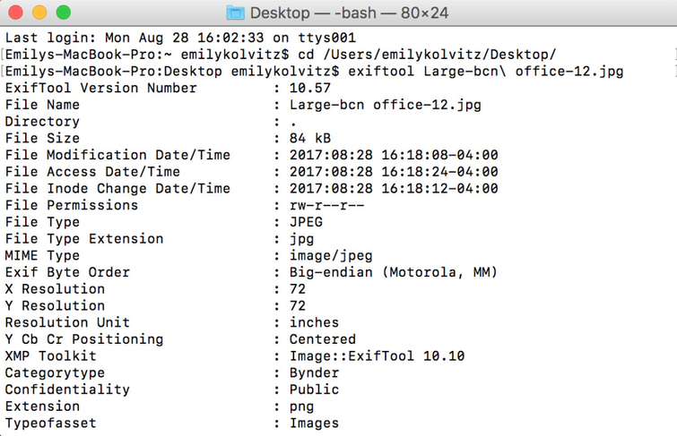 Embedded metadata bynder 1