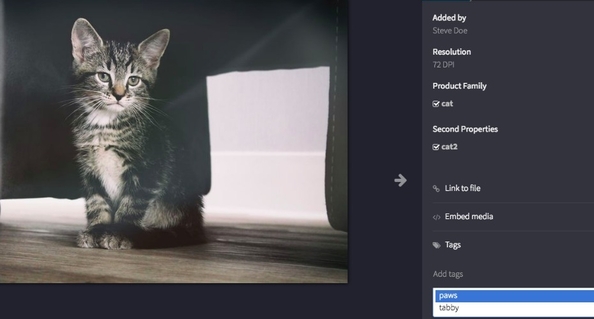 How digital asset management helps content marketers
