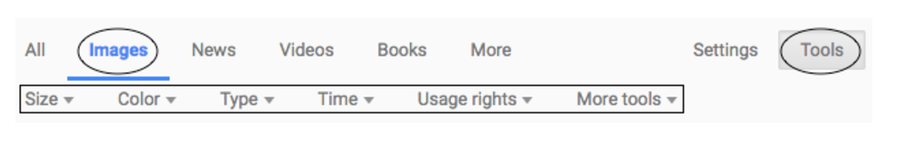 Taxonomy filter