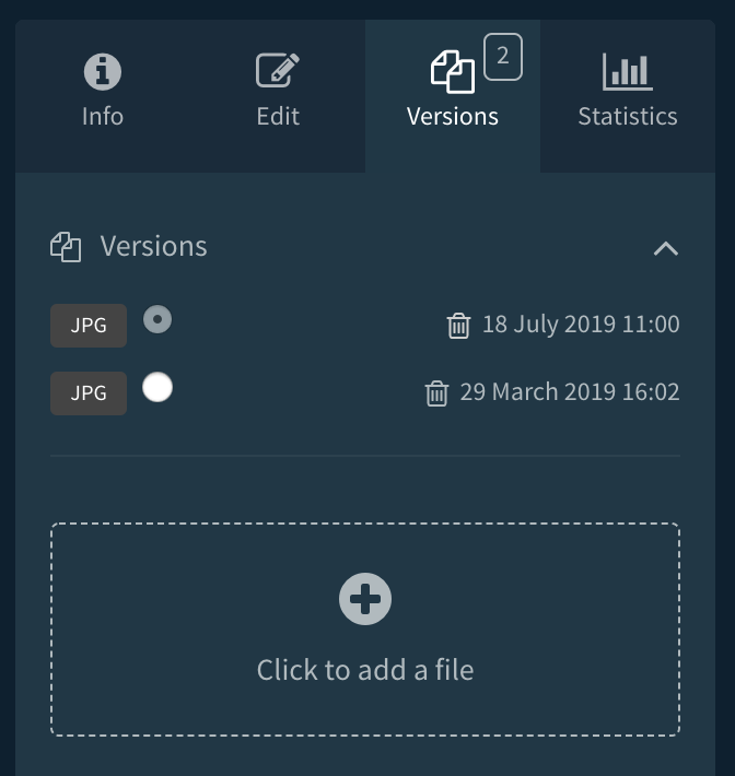 Asset versioning
