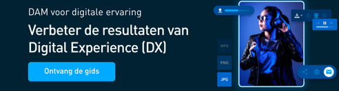 DAM for DX NL