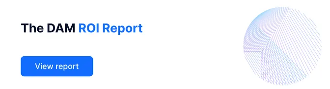 EN Guide DAM ROI Report (2020)