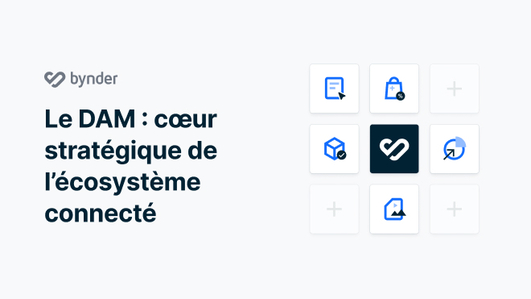 FR Thumb DAM The Connected Ecosystem