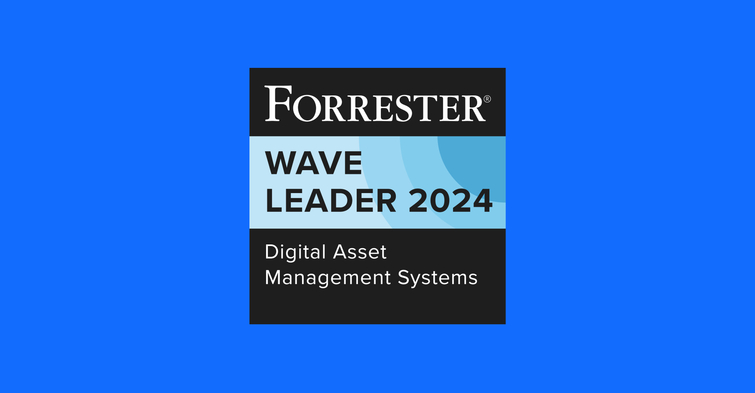 Empowering brands with DAM in the digital-first economy: Insights from the Forrester Wave™ report