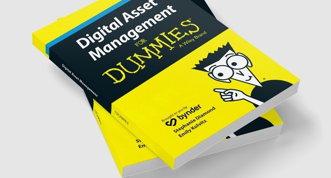 Digital asset management ROI