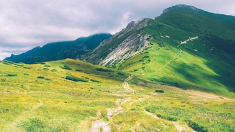 Why Uncertainty Can Be Your Best Asset
