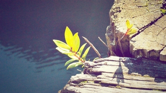 8 Tips for bettering your marketing collateral