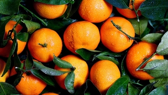 Fanta Rebranding: gelungen oder durchgedreht?