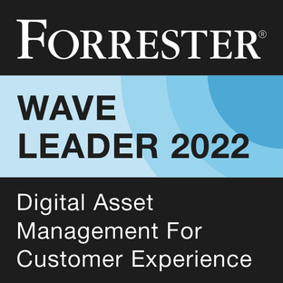 Badge Forrester Wave Q1 2022
