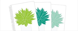 Brandconnect header