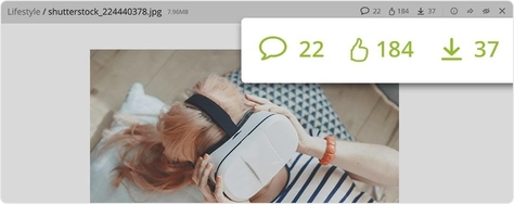 Webdam features social tools
