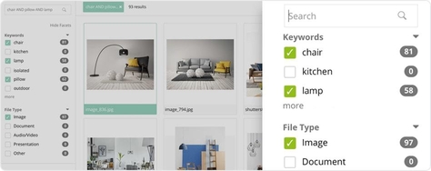 Webdam features faceted search