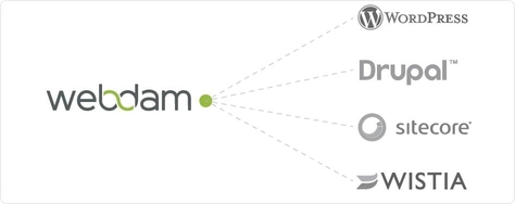 Webdam features direct publishing