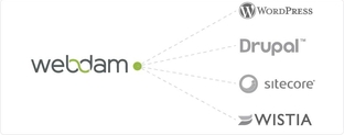 Webdam header