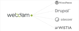 Webdam features direct publishing