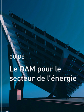 Le Digital Asset Management pour le secteur de l'énérgie