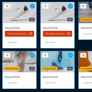 Duplicate Finder at Upload - Een krachtig mechanisme dat voorkomt dat assets per ongeluk worden gedupliceerd, waardoor je assetbank onoverzichtelijk wordt.