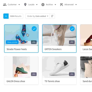 Similarity Search - Ontdek visueel vergelijkbare assets in je DAM met één klik op een knop.