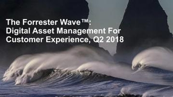 Forrester Wave DAM ROI webinar