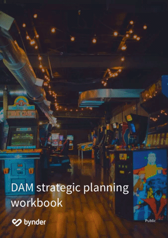 Dam strategic planning