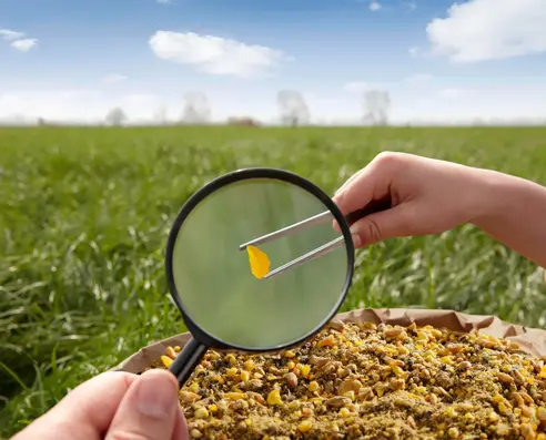 Customer spotlight: Helping a world-leading animal feed company to protect and promote their 100+ year brand history during explosive growth
