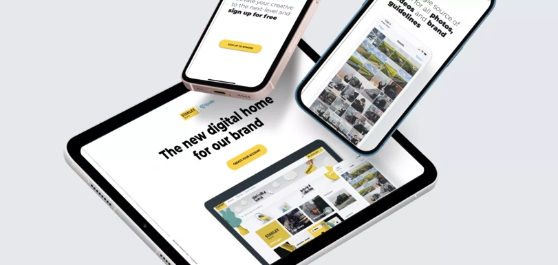 BSA Profile Stanley Security Image