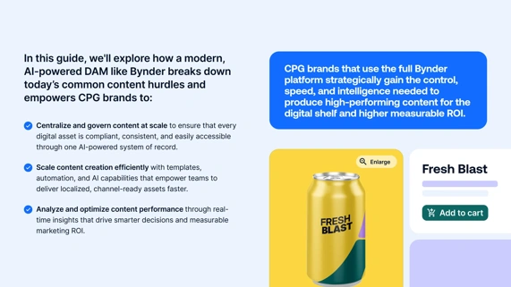 Win the digital shelf: The strategic DAM playbook for CPG brands