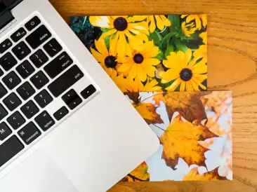 DAM solutions - where to start