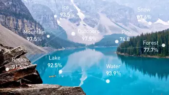Artificial intelligence and the future of DAM