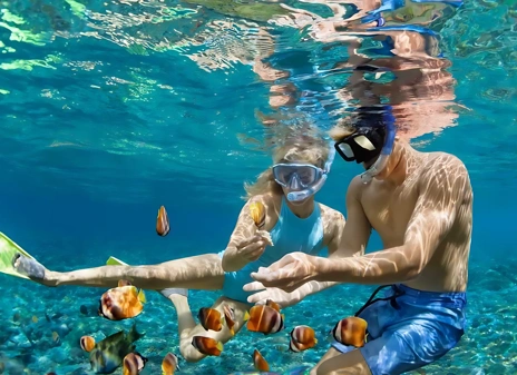 BSA Profile Viator Header v2