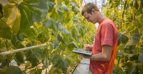 Customer spotlight: Vegetable breeding specialists Rijk Zwaan get 30+ subsidiaries on the same page with Bynder