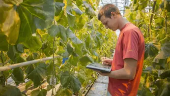 Customer spotlight: Vegetable breeding specialists Rijk Zwaan get 30+ subsidiaries on the same page with Bynder