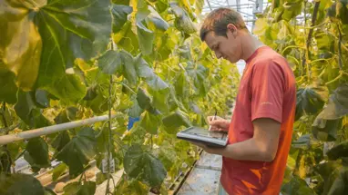 Customer spotlight: Vegetable breeding specialists Rijk Zwaan get 30+ subsidiaries on the same page with Bynder