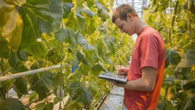 Customer spotlight: Vegetable breeding specialists Rijk Zwaan get 30+ subsidiaries on the same page with Bynder