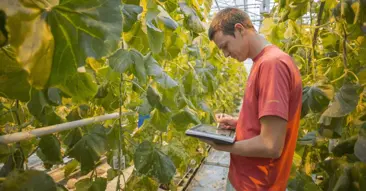 Customer spotlight: Vegetable breeding specialists Rijk Zwaan get 30+ subsidiaries on the same page with Bynder