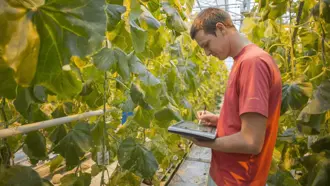 Customer spotlight: De meer dan 30 filialen van groenteveredelings- specialist Rijk Zwaan werken samen met Bynder