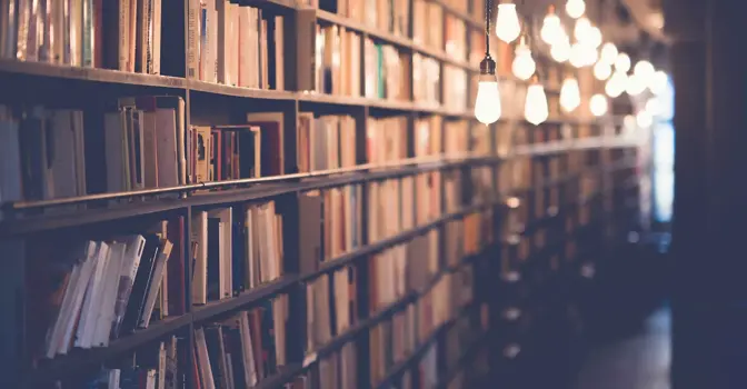 Unser Guide: So erstellen Sie eine Taxonomie für Ihre Asset-Bibliothek