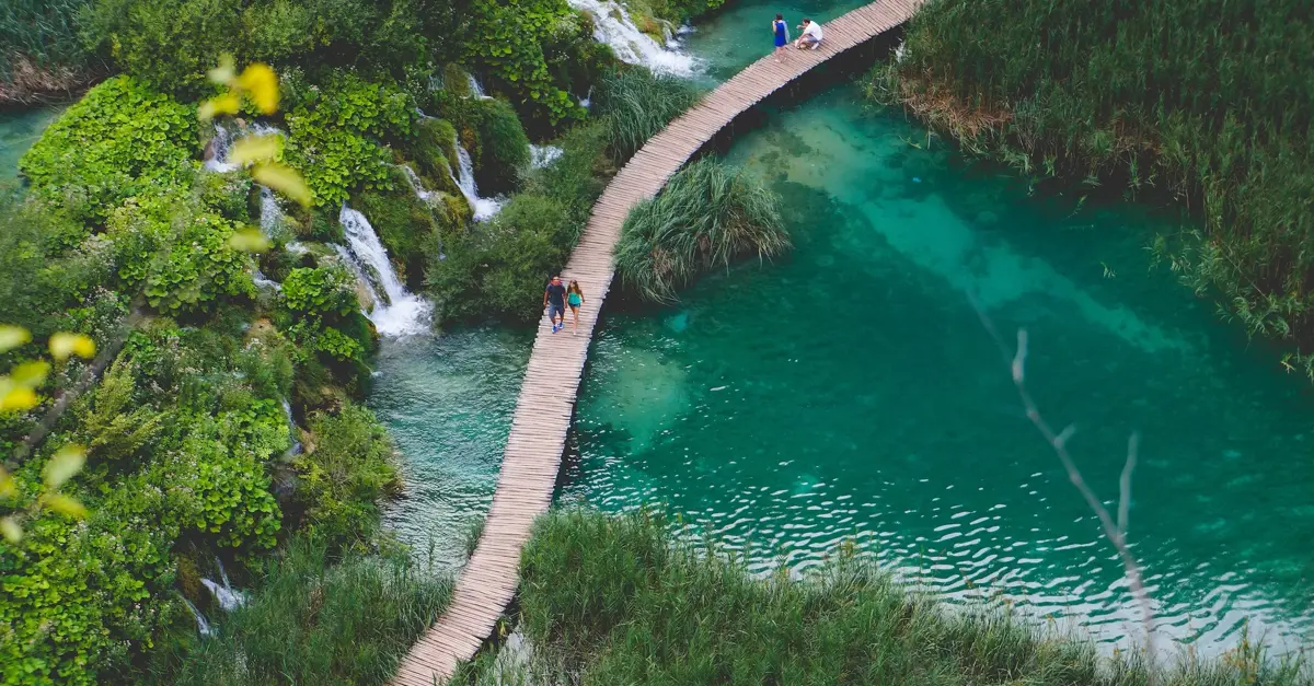 How to manage creative files effectively