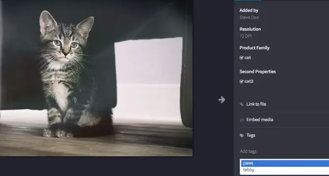 How digital asset management helps content marketers