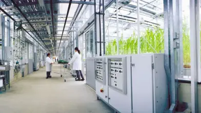 Syngenta Customer story