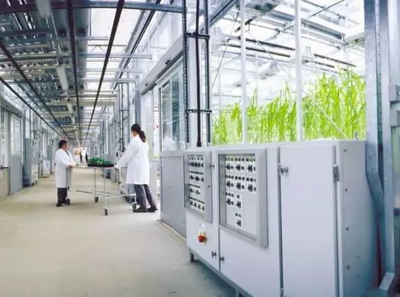 Syngenta