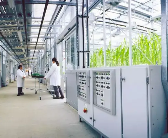 Story Syngenta 1