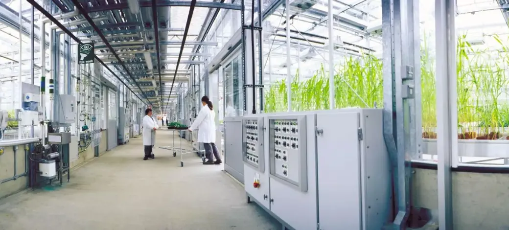 Story Syngenta 1