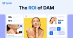 Meta Guide ROI Of DAM