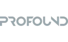 Logo Partner Gray Profound