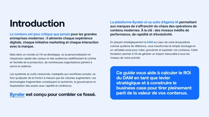 Quantifiez l'impact business du DAM