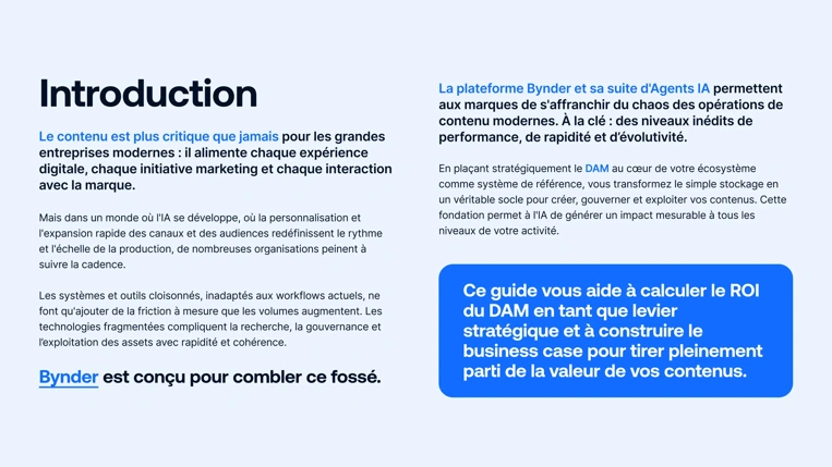Quantifiez l'impact business du DAM